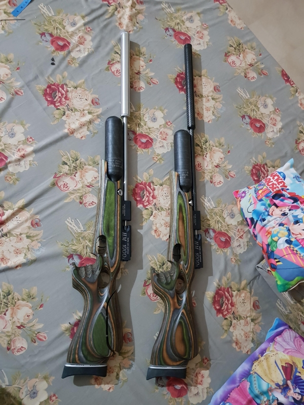 22 vs .25, Airgun Forum, Airgun Nation