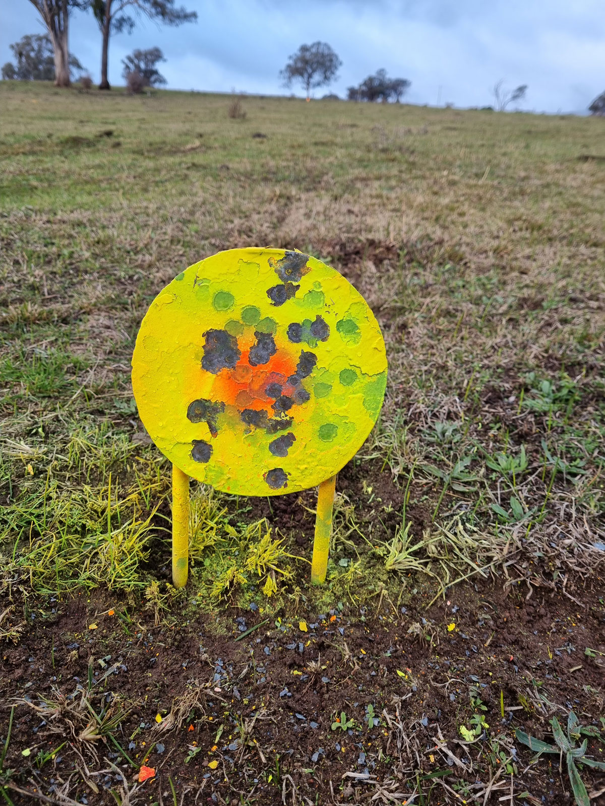 250yds--HN-36gr.....jpgwww.jpg