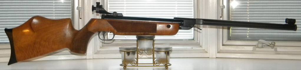 260 Walther LGVT.1612557106.JPG