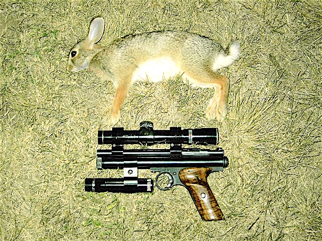 35 yard bunny.1608498611.JPG