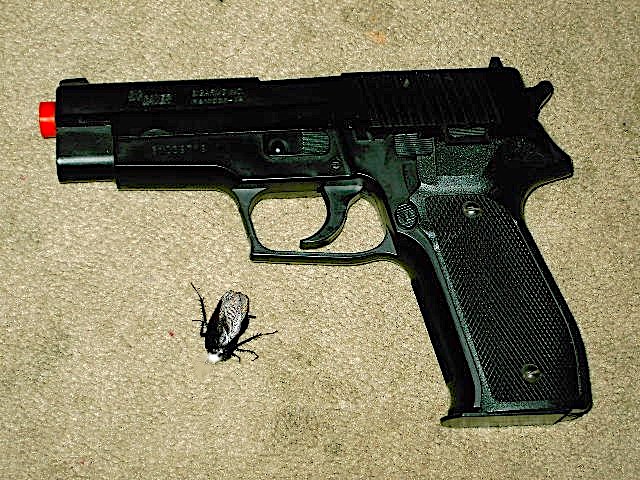 Airsoft roach.JPG