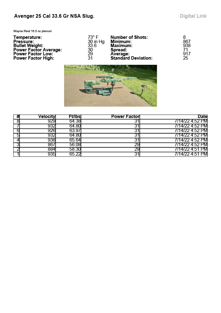 avenger_25_cal_33_6_gr_nsa_slug_1024_1.jpg