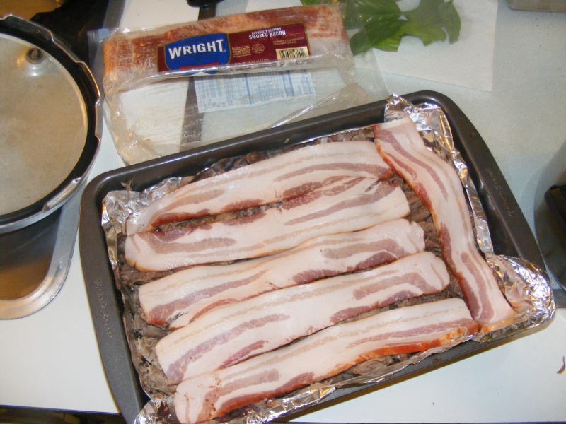 bacon blanket.jpg