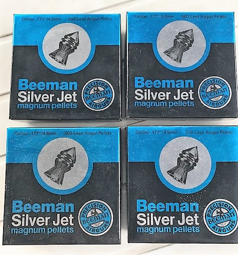 BeemanSilverJet.177.1633290194.jpg