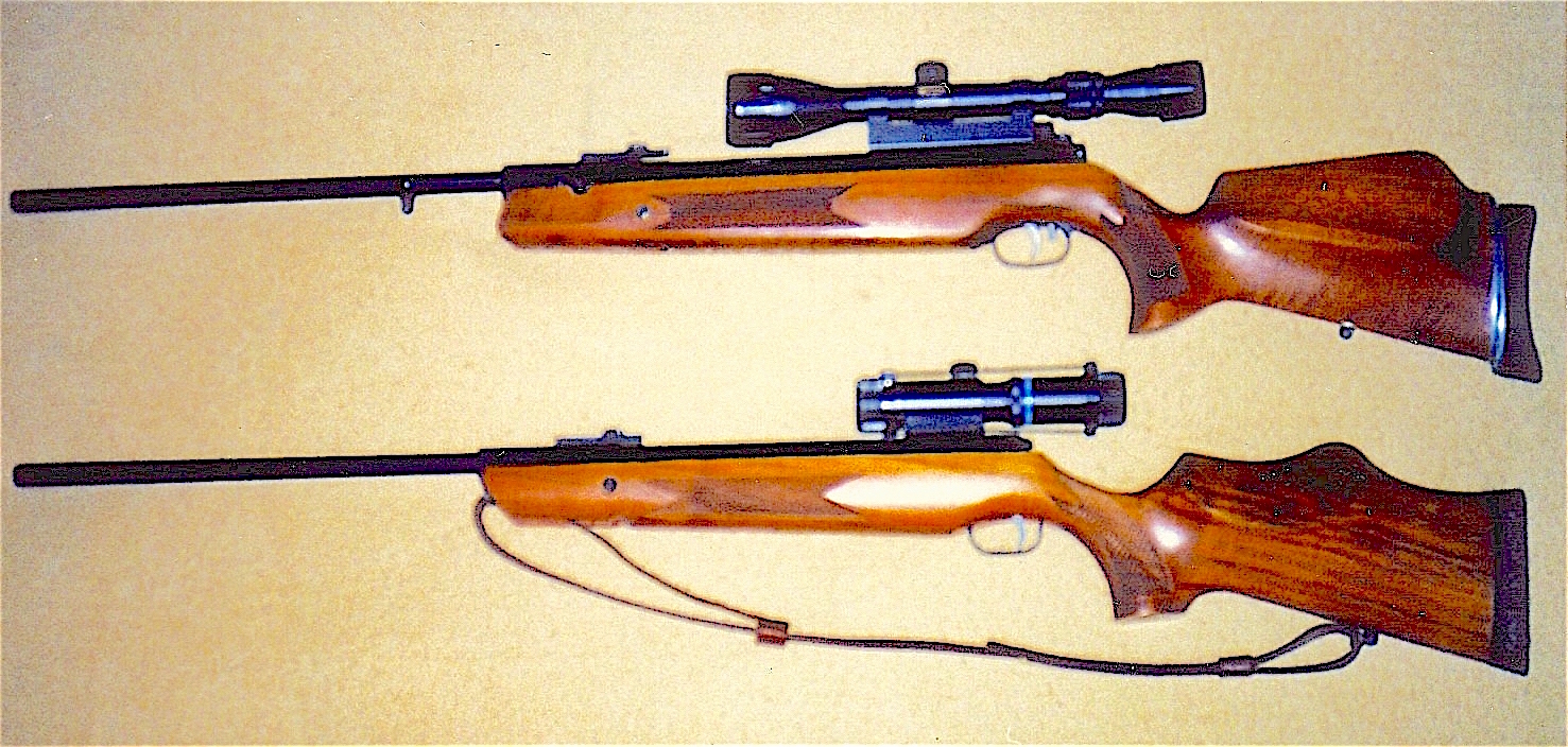 Bowkett rifles.JPG