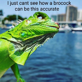 brocock5.jpg