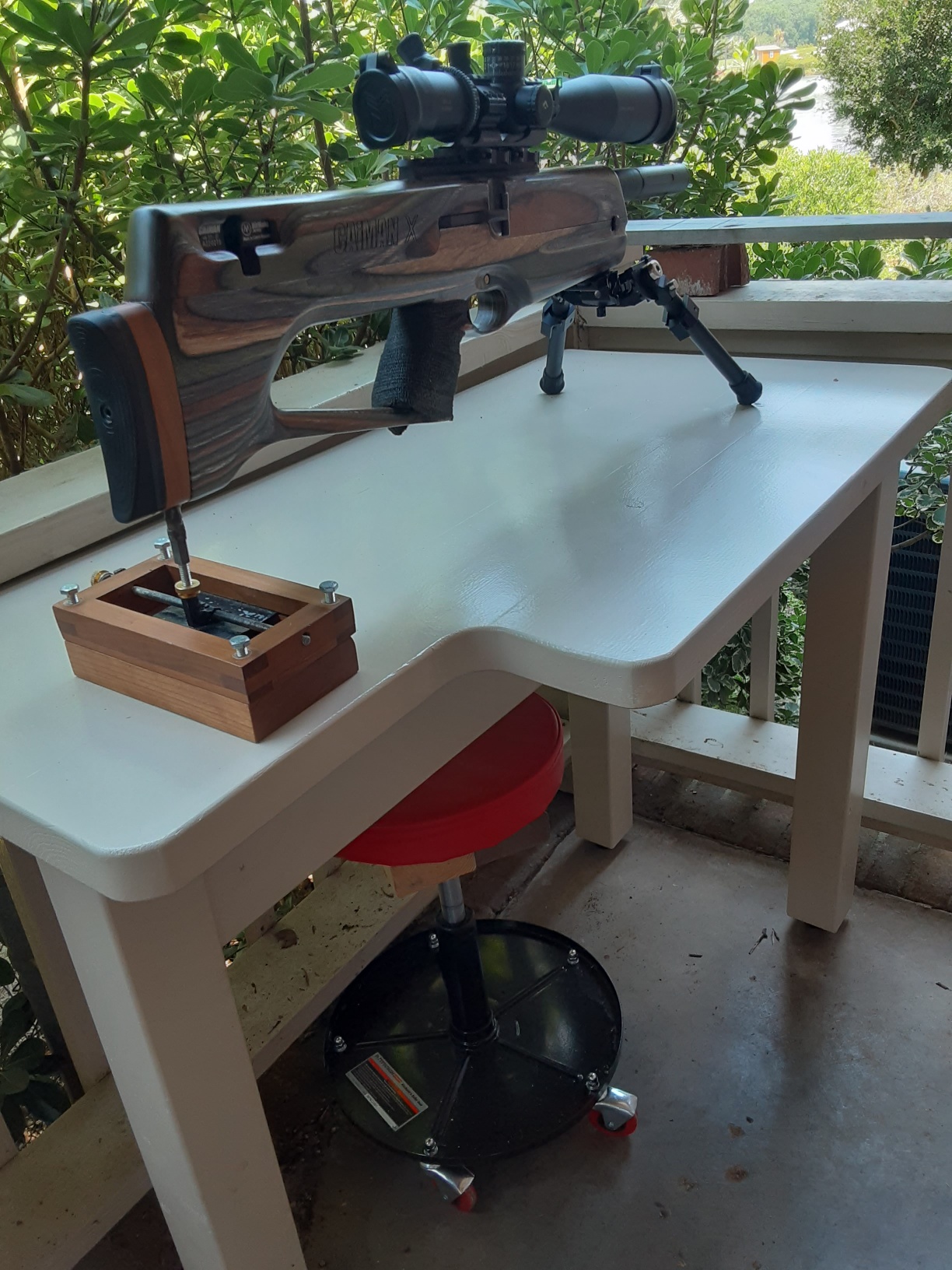 Caiman X on new bench.jpg