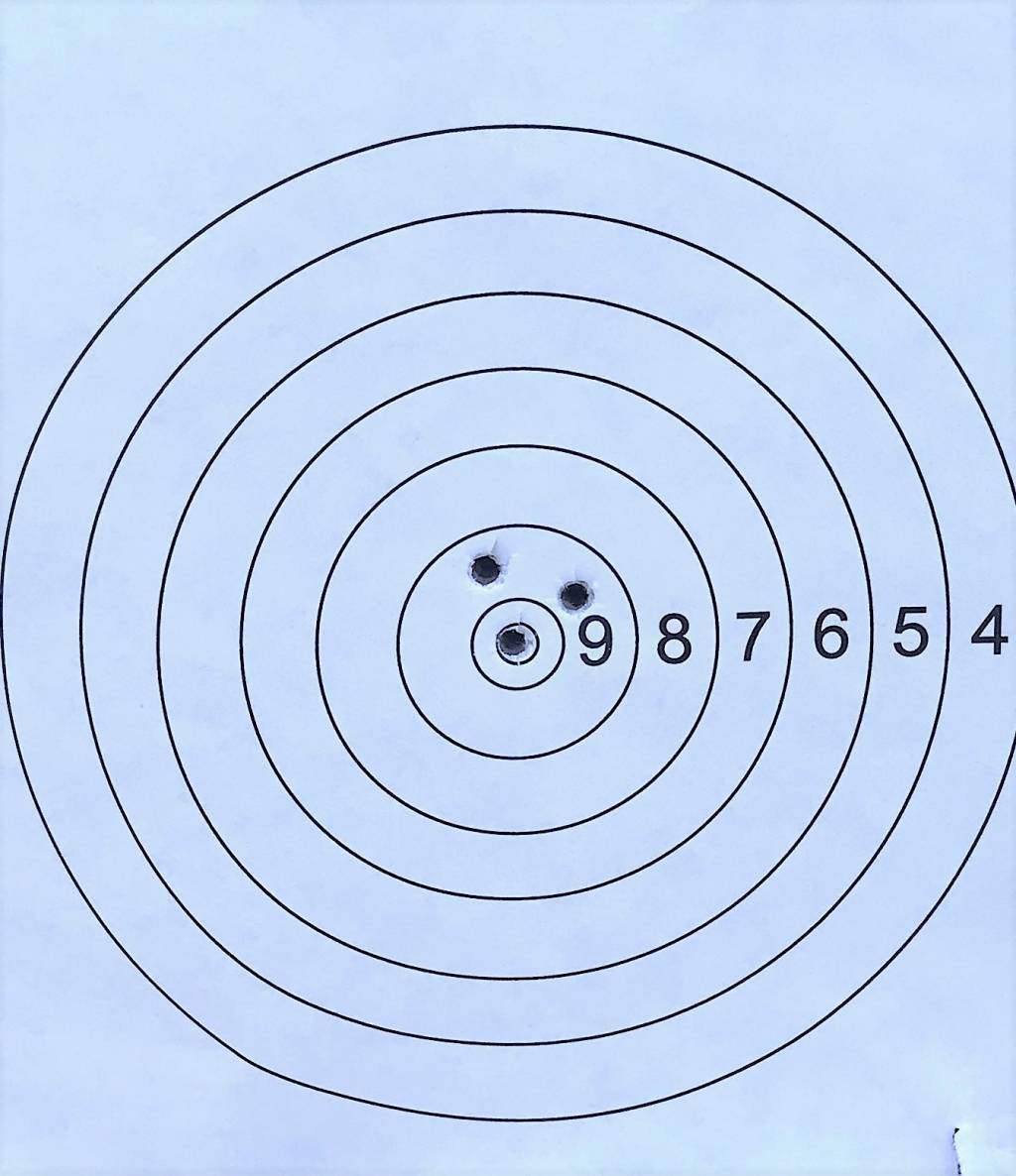 Crown Saber Tacticl 22 cal at 100 yd.1637950578.jpg