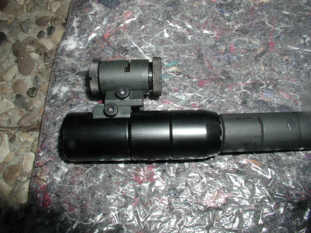 D75 front sight.jpg