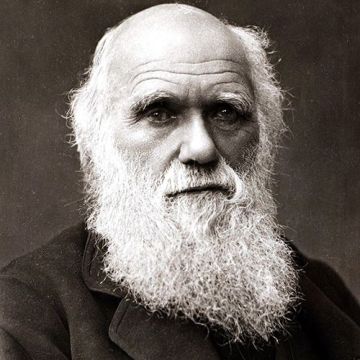 Darwin_23r2tgv.jpg