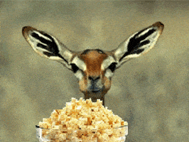 eating-popcorn-icegif-2.1641348114.gif