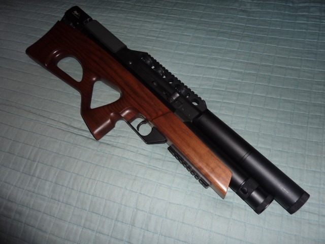 Edgun R5M  (5) (Small).JPG