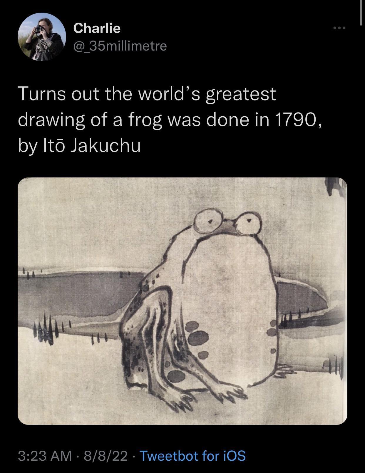 frog.jpeg