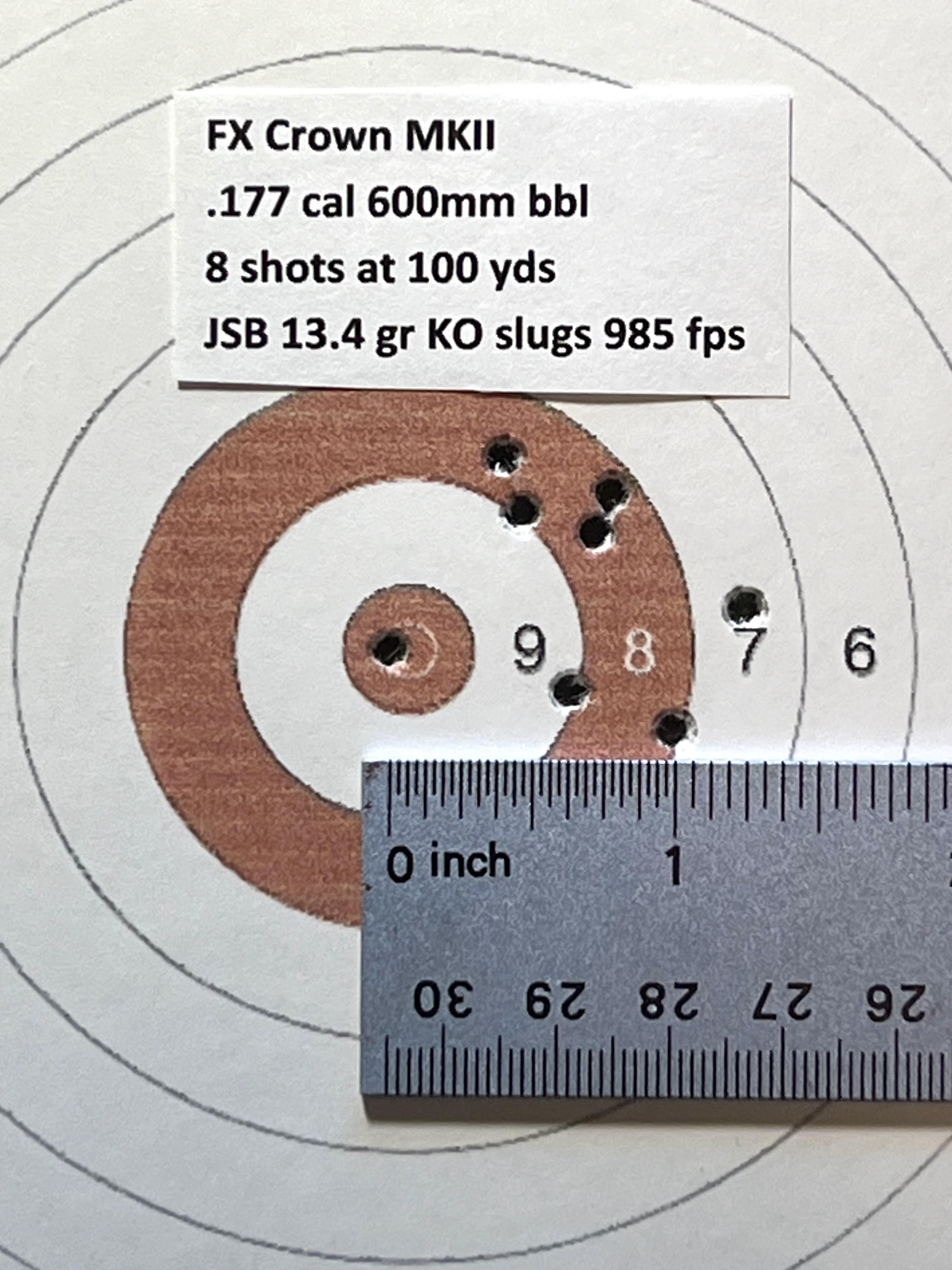 FX Crown MKII .177 at 100 yd.jpg