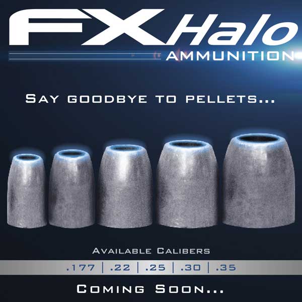 FX-Halo-Slugs-Pellets_b396c172-ef48-4fe6-b2ab-ef76e53caec6.jpg