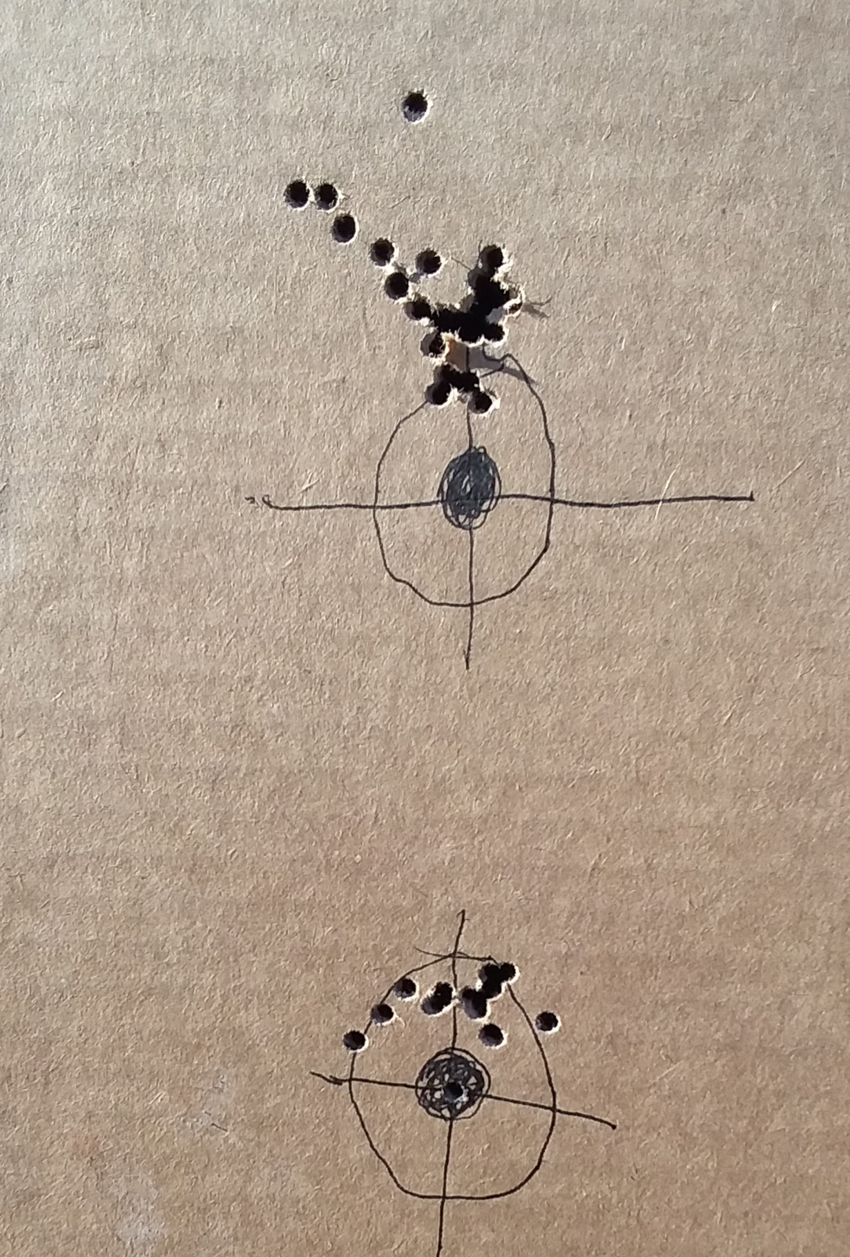 Gamo Varmint ten yards sight in.jpg