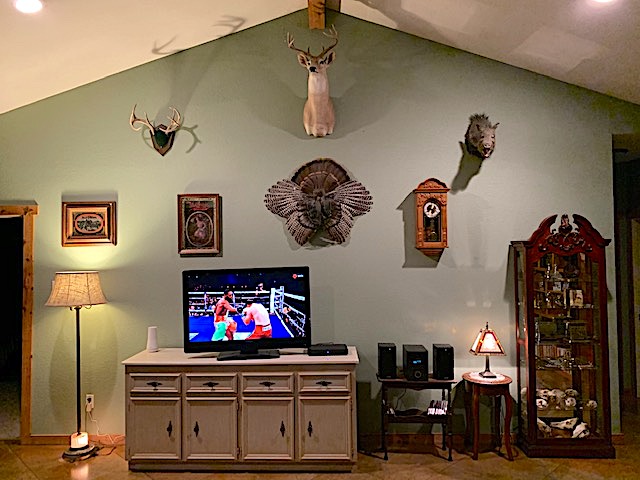 Great Room.1645834747.jpg