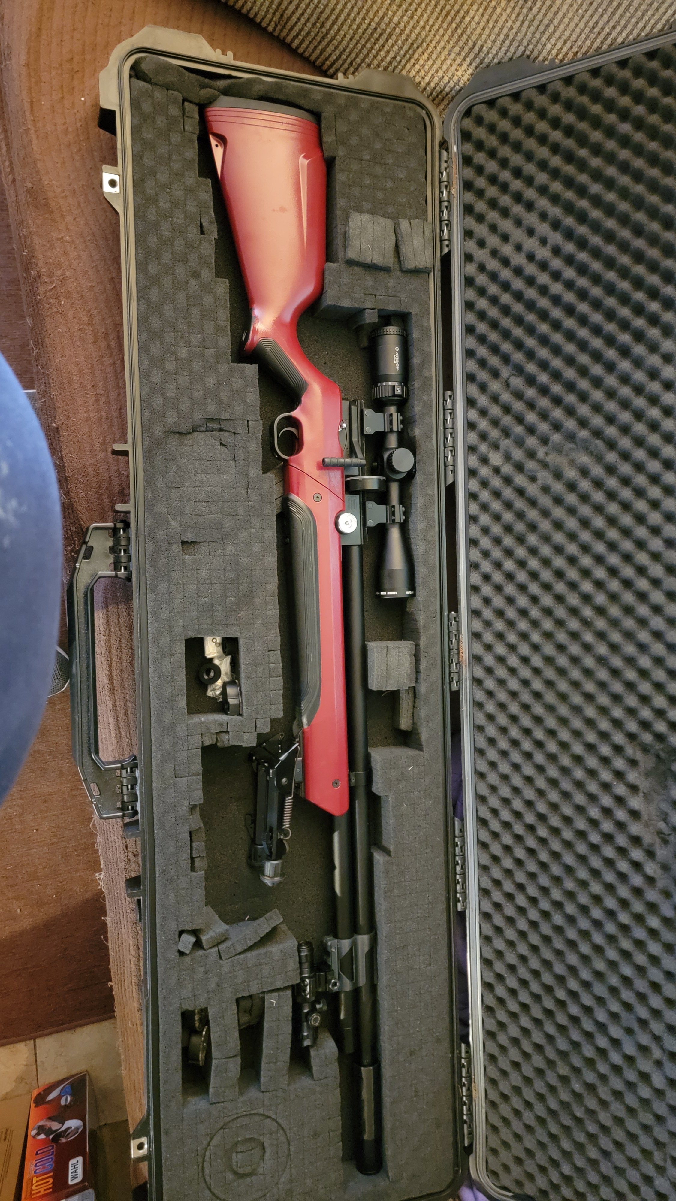 Gun and Case.jpg