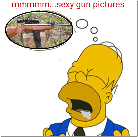 homer1.png