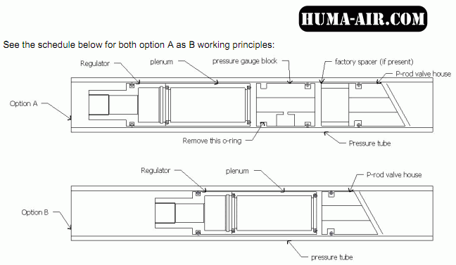 Huma options A and B.gif