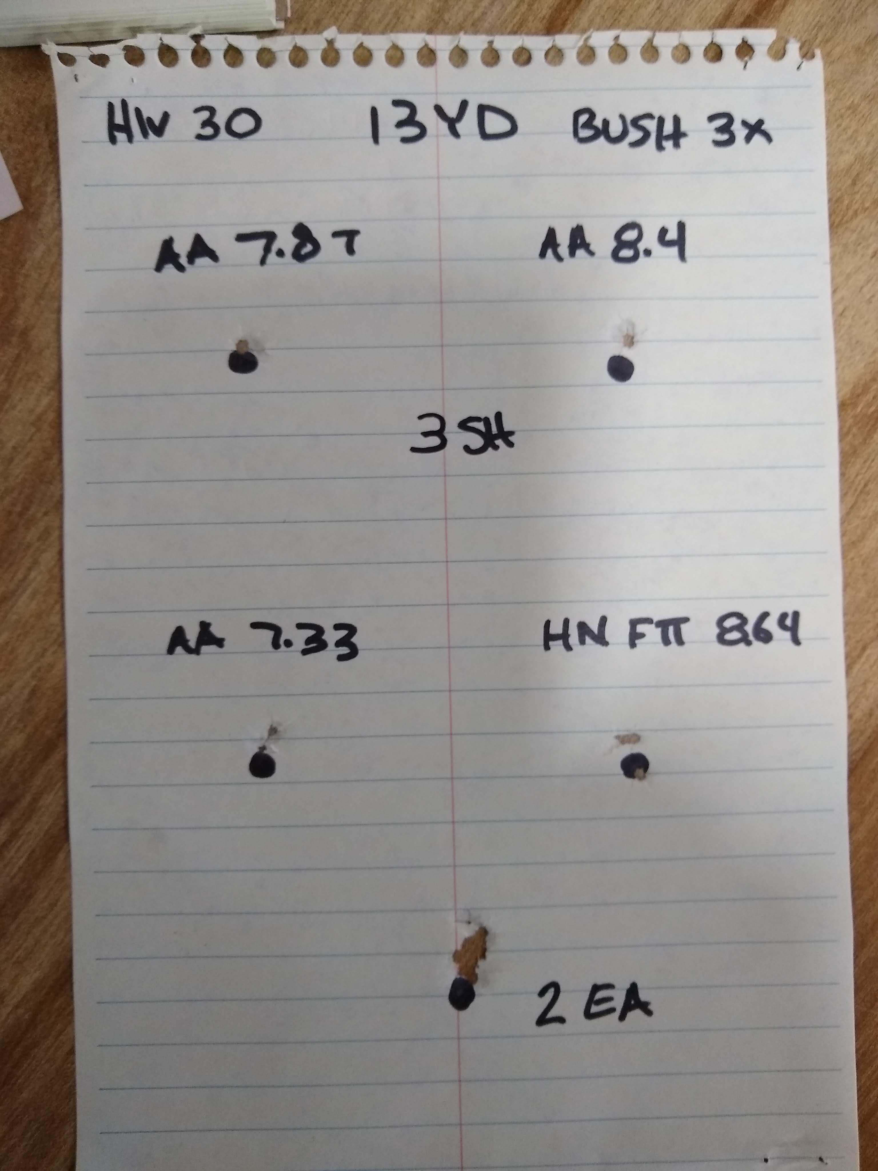 HW30 pellet test.jpg