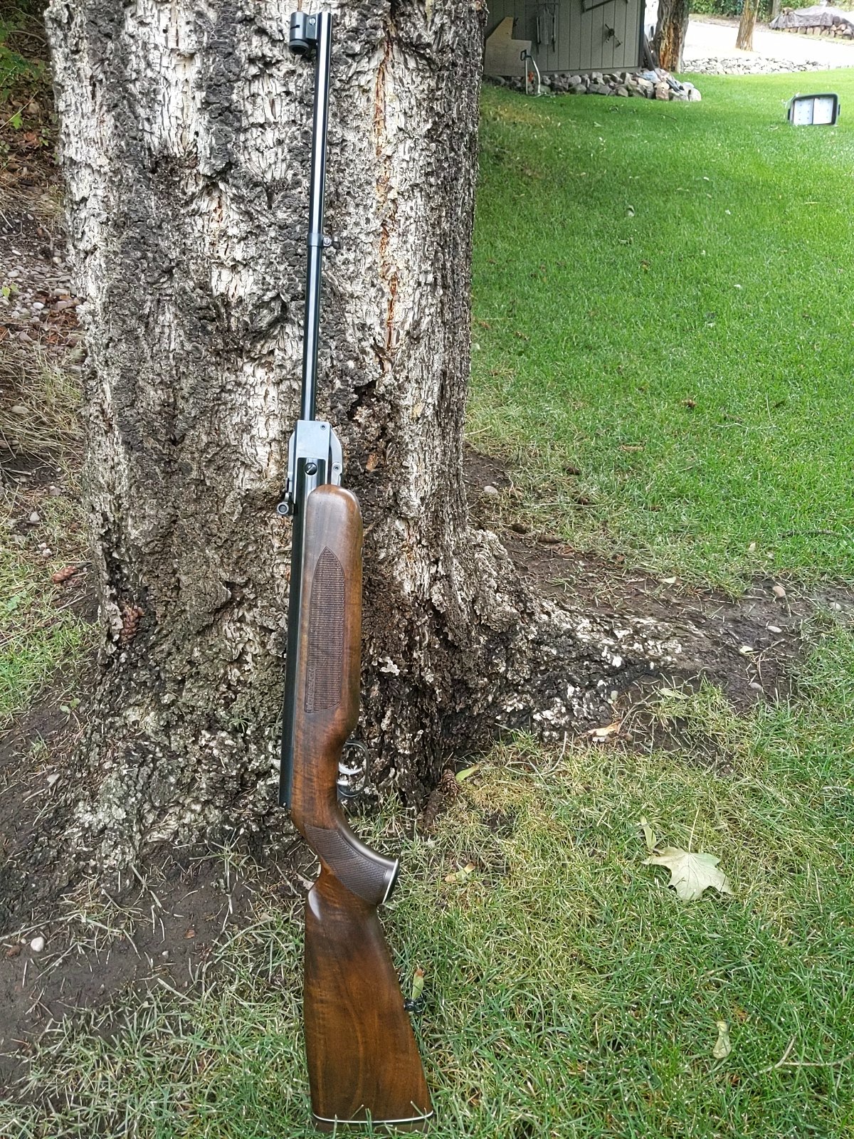 HW35 with Stock Irons.jpg