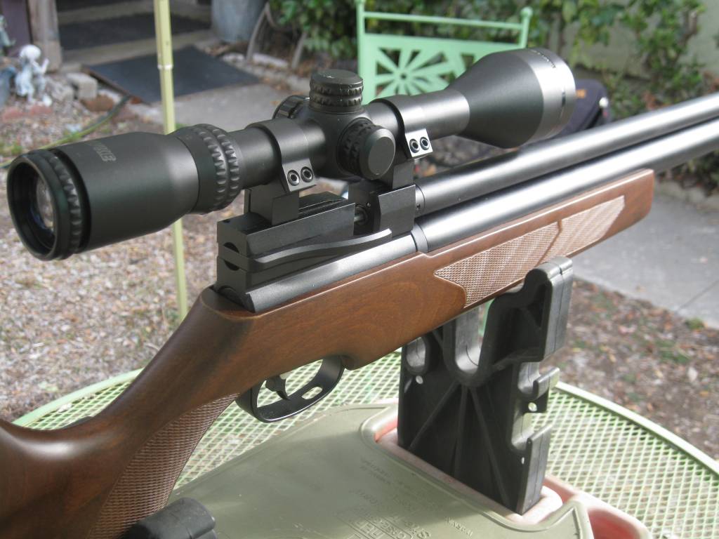 22 vs .25, Airgun Forum, Airgun Nation