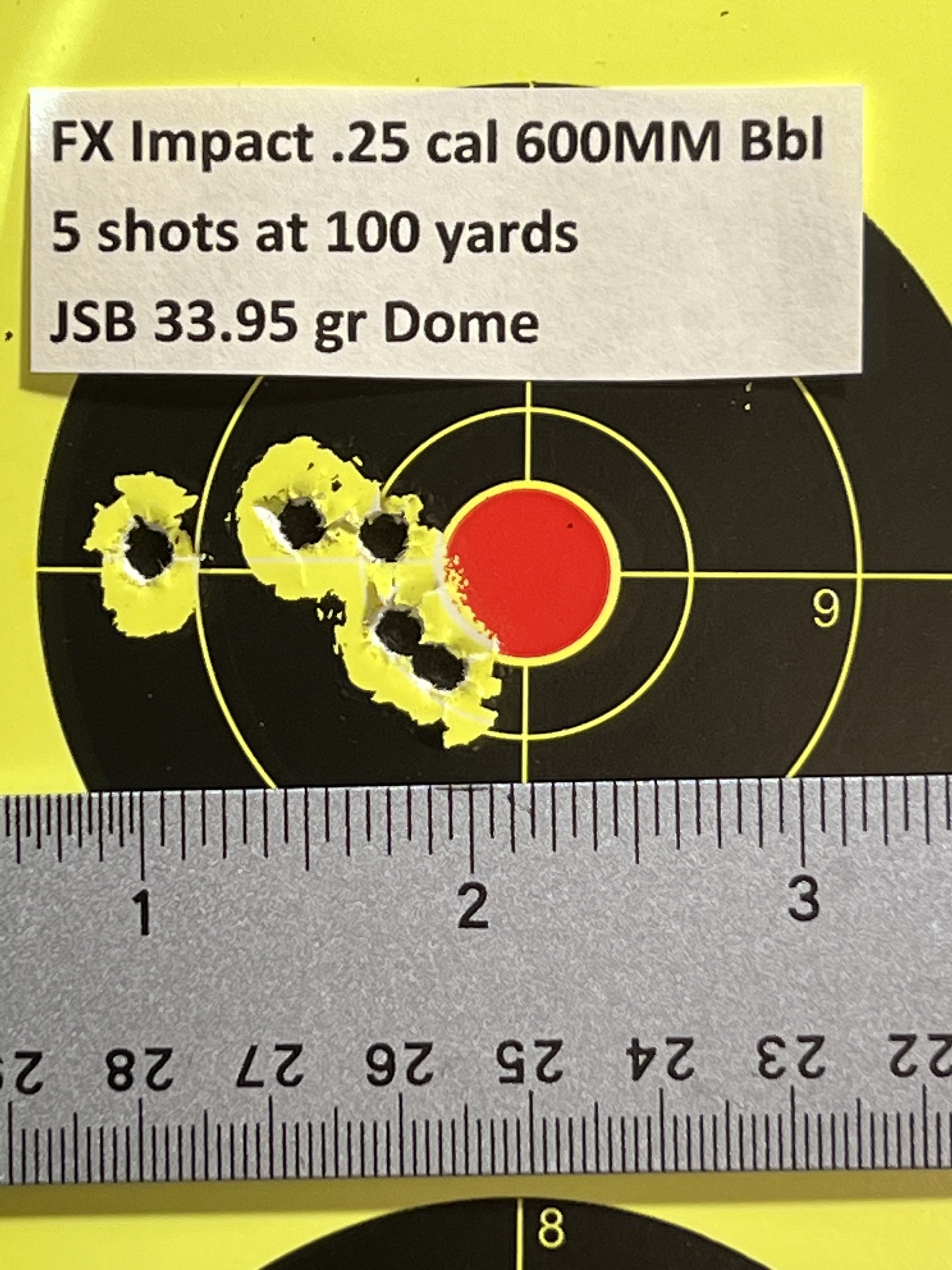 Impact 25 at 100 yd with domes.jpg