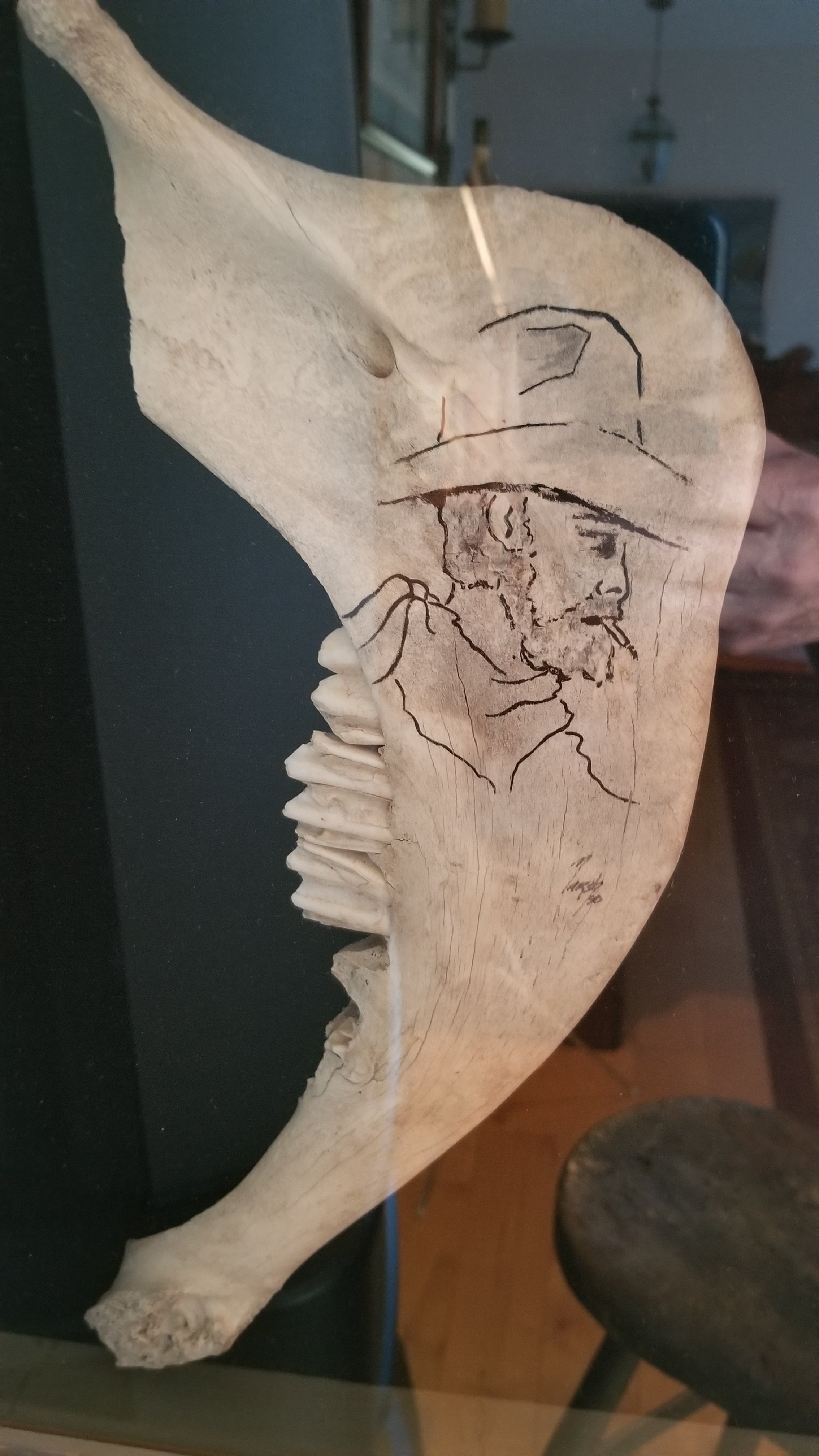 Ox Jaw.jpg