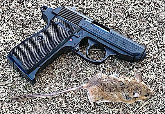 PPK Mouse.jpg