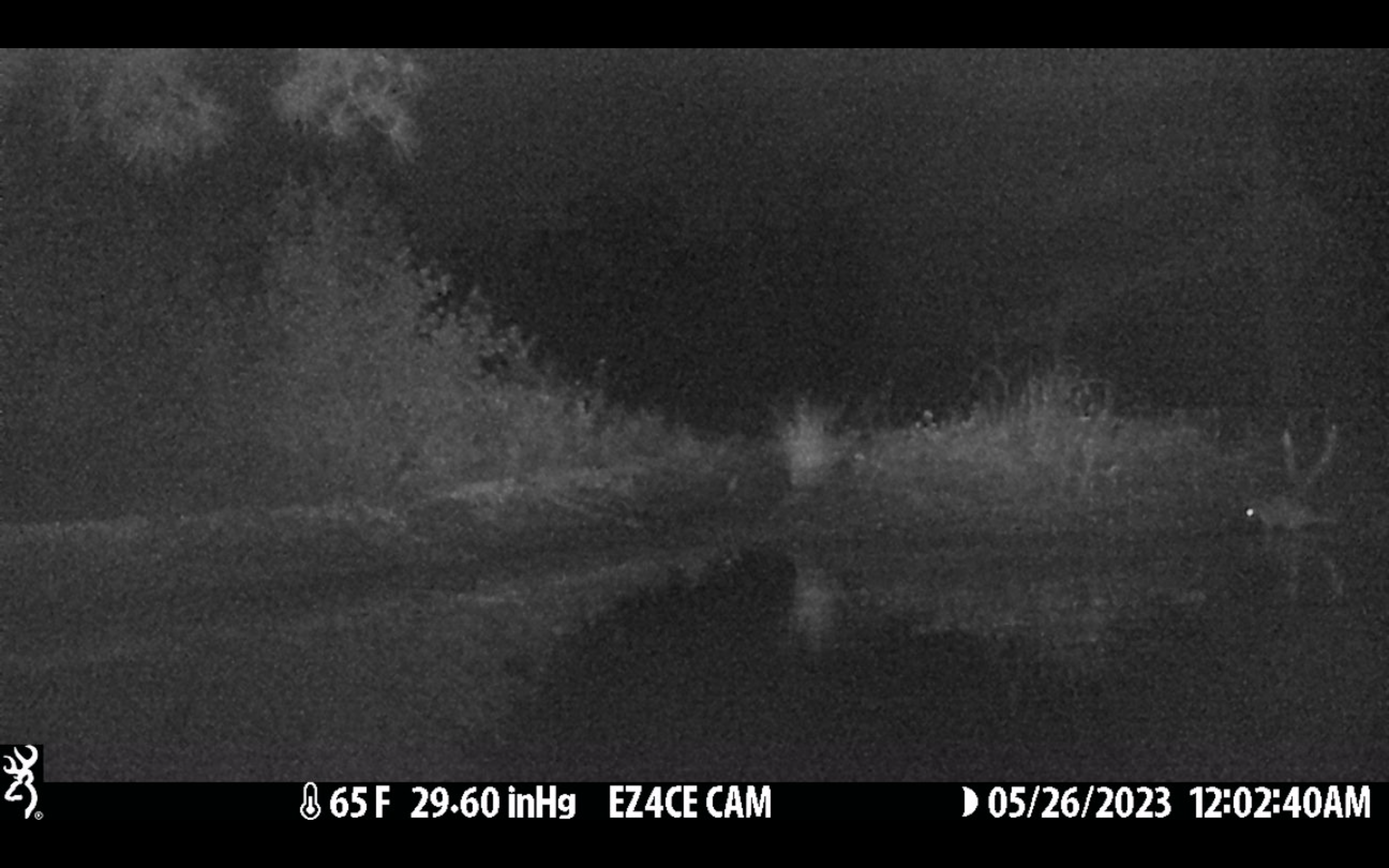 Raccoon fishing in beaver pond.png