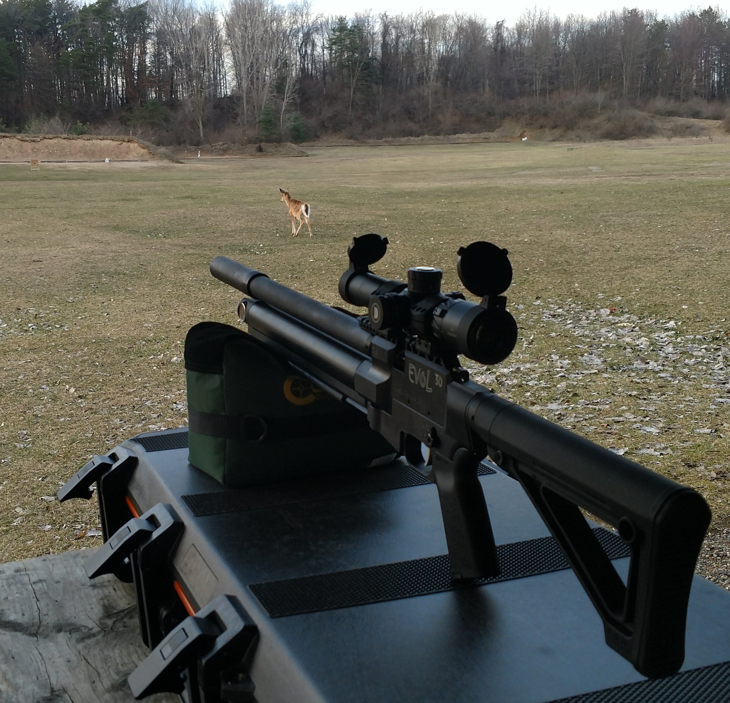 range_deer.jpg