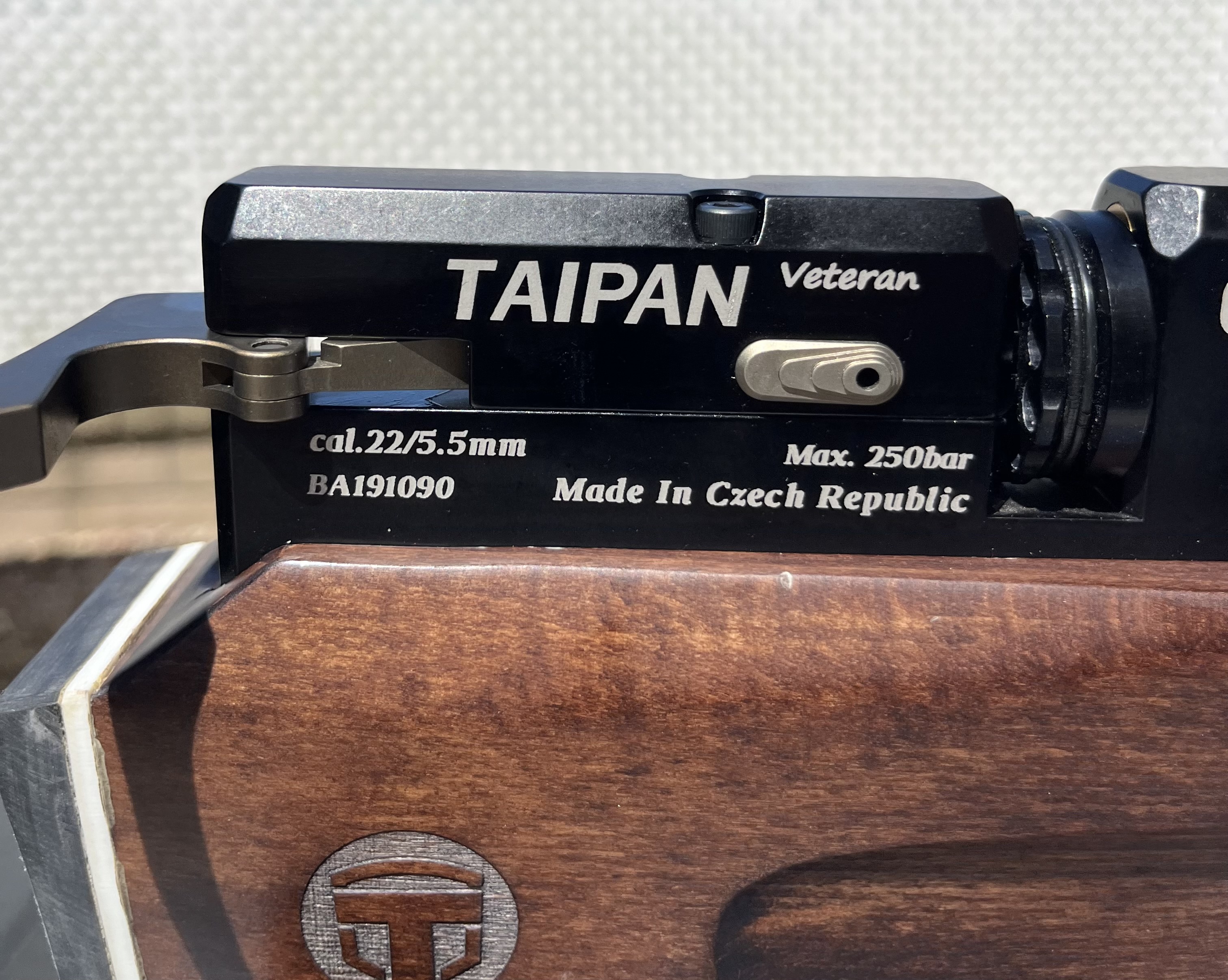 taipan 1.jpg