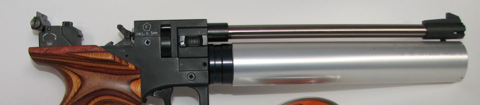 twinmaster - Precise open sights.1614501514.JPG