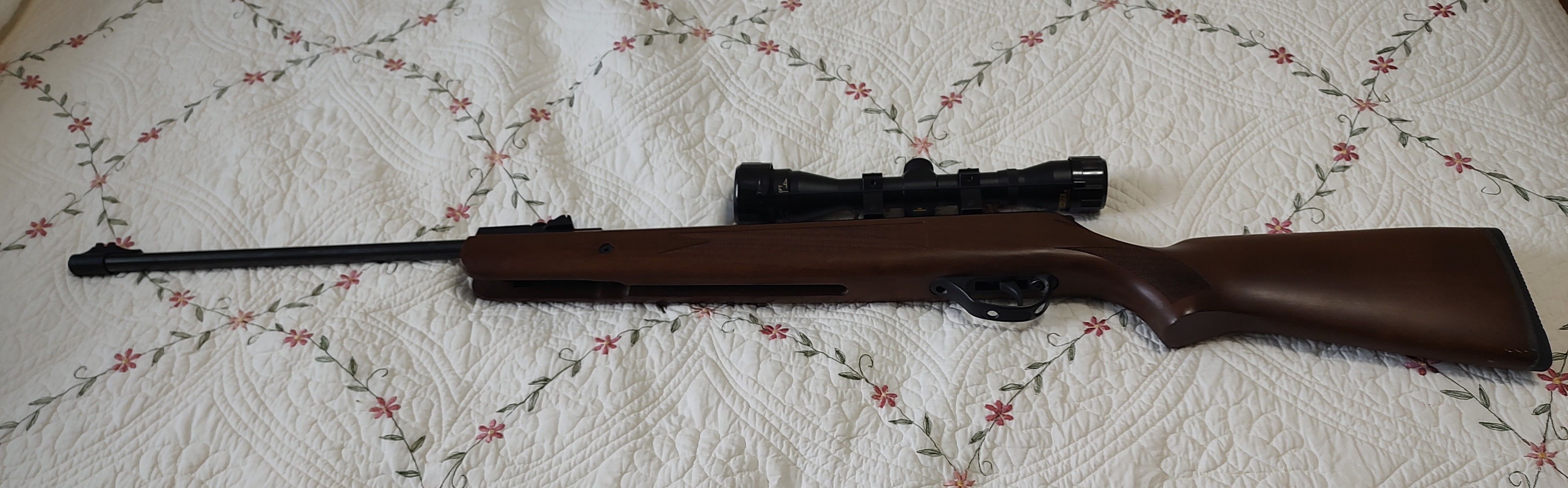 Winchester 1000 1.jpg