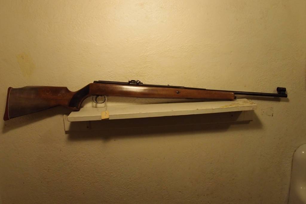 Winchester 450 2.1644006865.jpg
