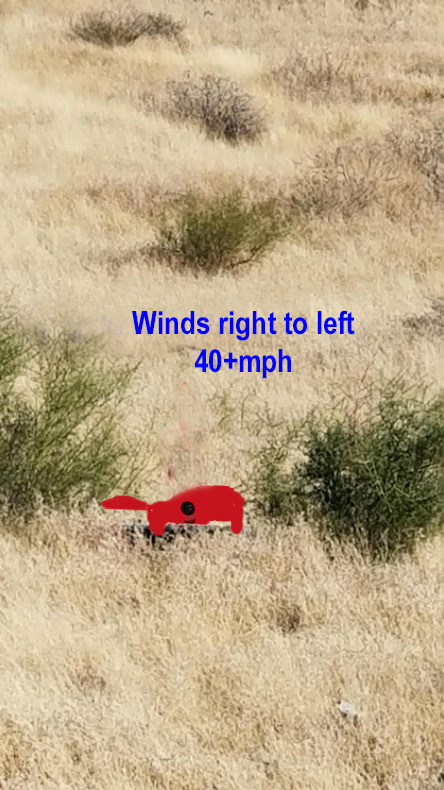 Winds 40+.jpg