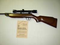 Beeman Air Rifle.JPG