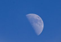 Afternoon_Moon12082024.jpg